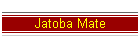 Jatoba Mate