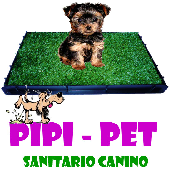PIPI PET bandeja sanitario orinal de csped sinttico para perros tipo Potty Patch